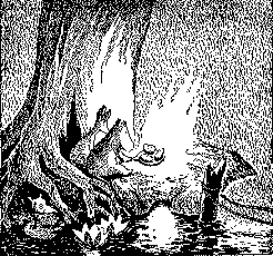 ...между корнями деревьев они нашли уютное  местечко  и
разожгли костер