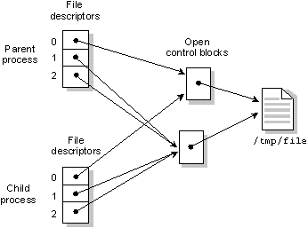 fig: i/dupfd.gif